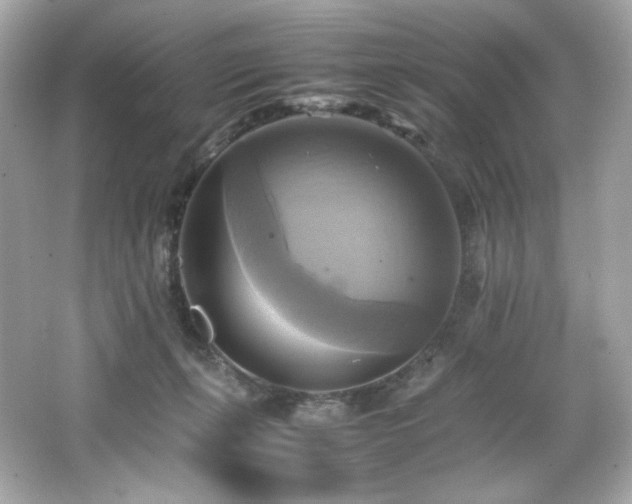 X0000066520271200603171226