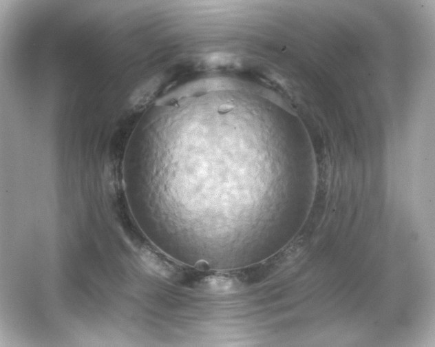 X0000066520272200603171226