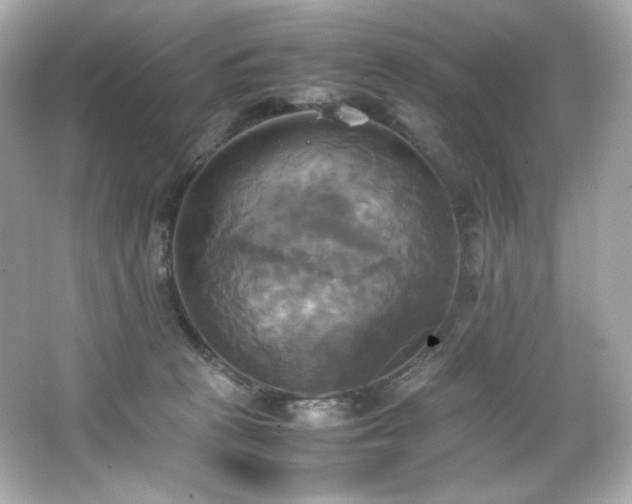 X0000066520273200603171226