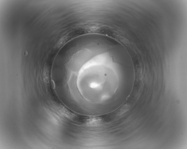 X0000066520274200603171226