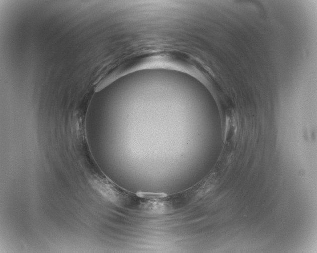 X0000066520276200603171226