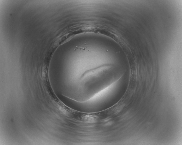 X0000066520277200603171226