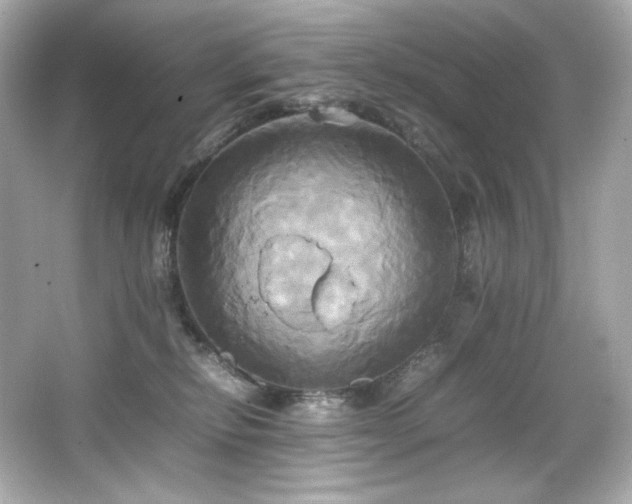 X0000066520278200603171226