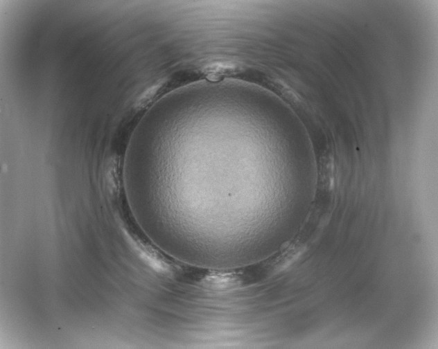 X0000066520280200603171226