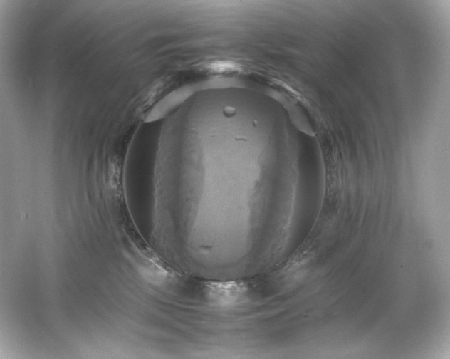 X0000066520281200603171226