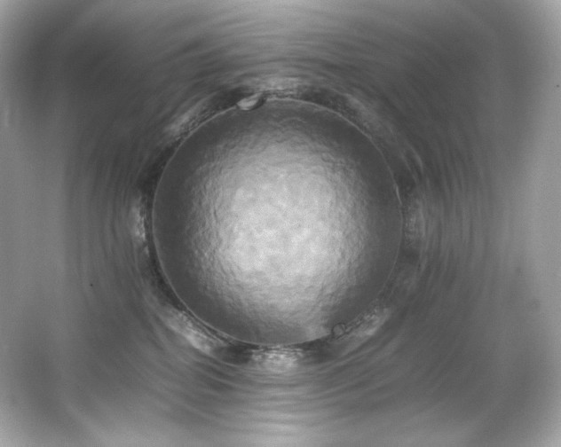 X0000066520282200603171226