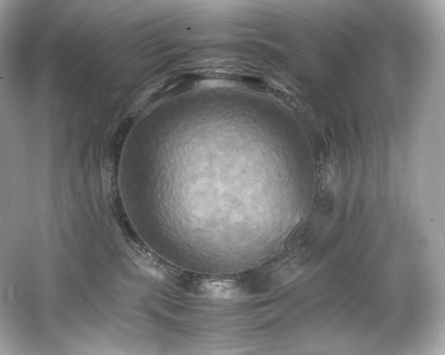 X0000066520283200603171226