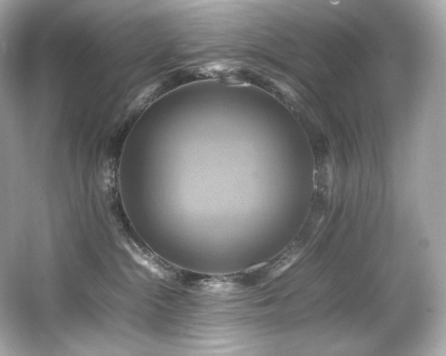 X0000066520284200603171226