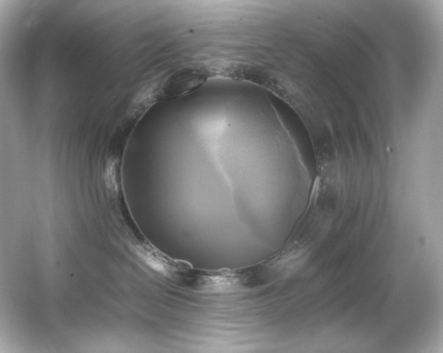 X0000066520286200603171226