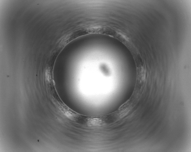 X0000066520287200603171226