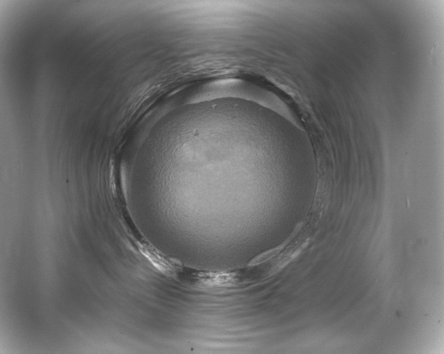 X0000066520288200603171226