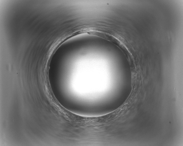 X0000066520289200603171225