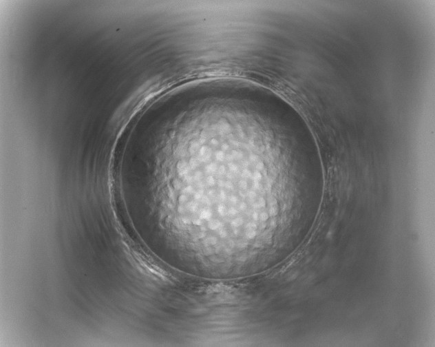 X0000066520290200603171225