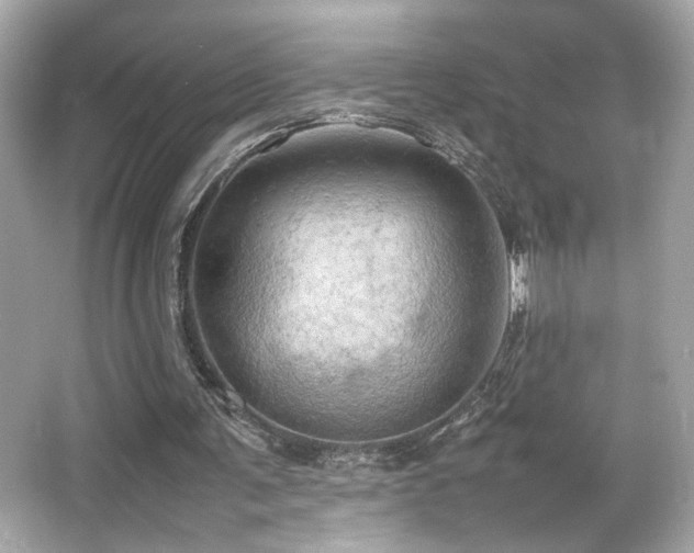 X0000066520291200603171225