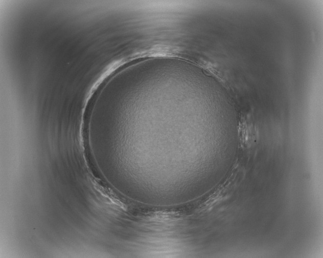 X0000066520292200603171225