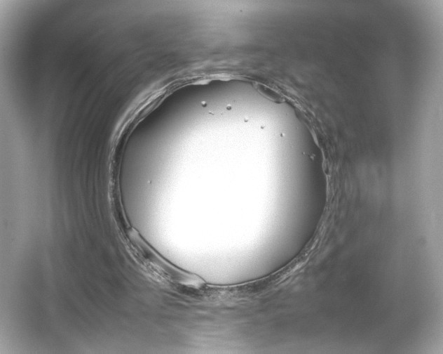 X0000066520293200603171225