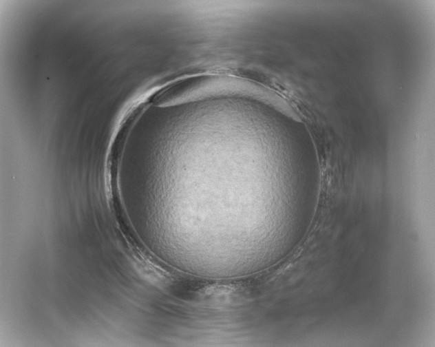 X0000066520294200603171225