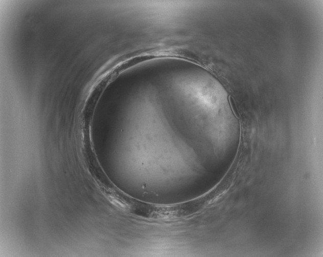 X0000066520295200603171225