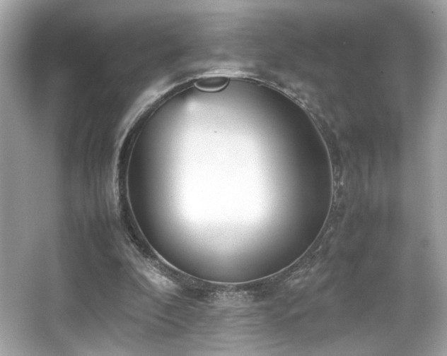 X0000066520296200603171225