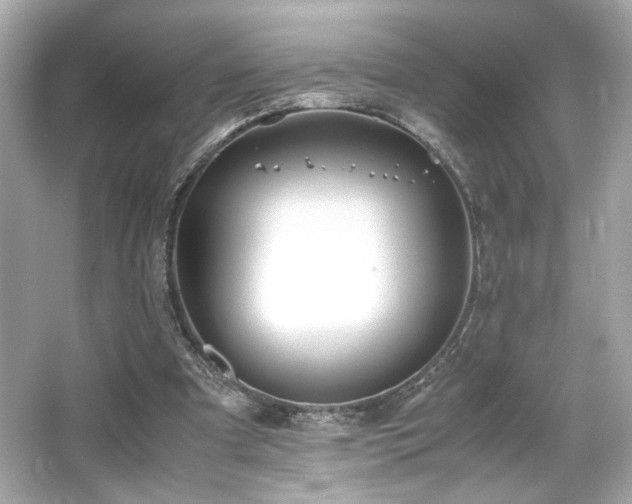 X0000066520297200603171225