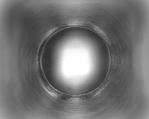 X0000066520298200603171225