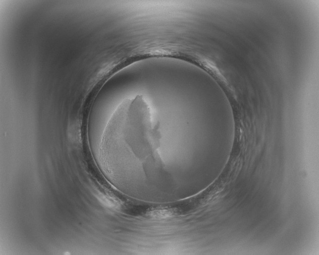 X0000066520299200603171225