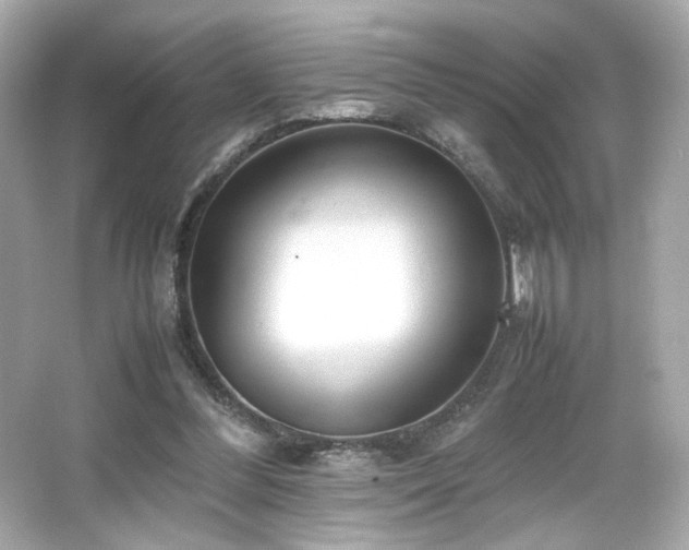 X0000066520300200603171225