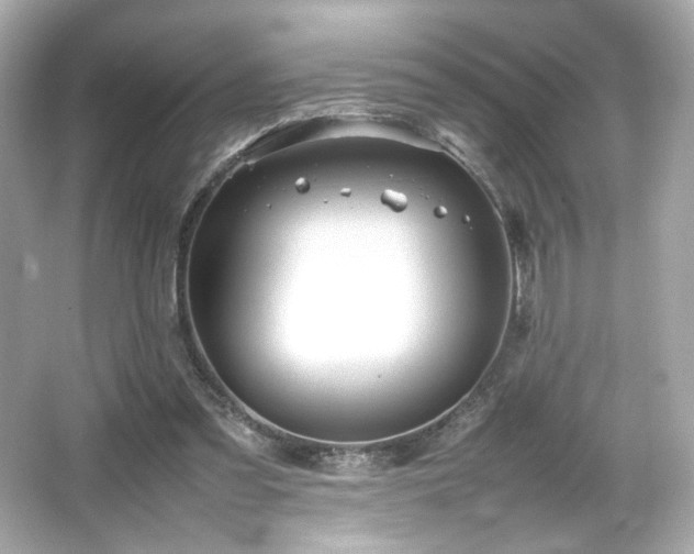 X0000066520301200603171225