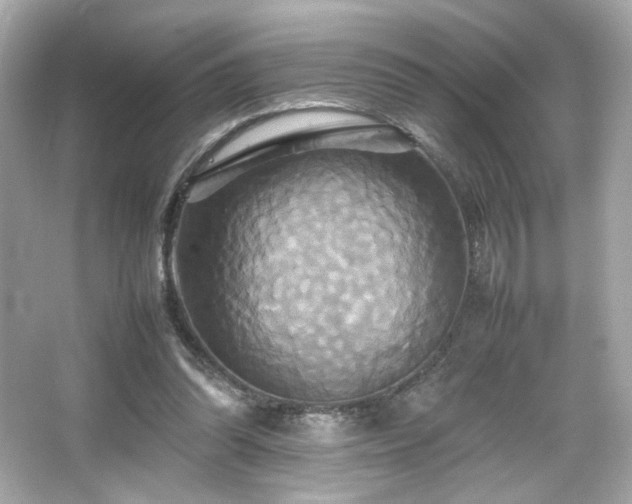 X0000066520302200603171225