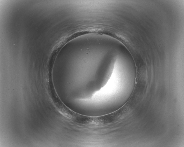 X0000066520303200603171225