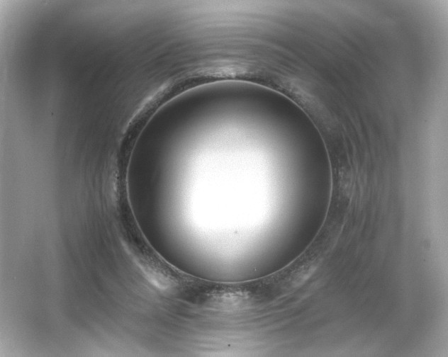 X0000066520304200603171225