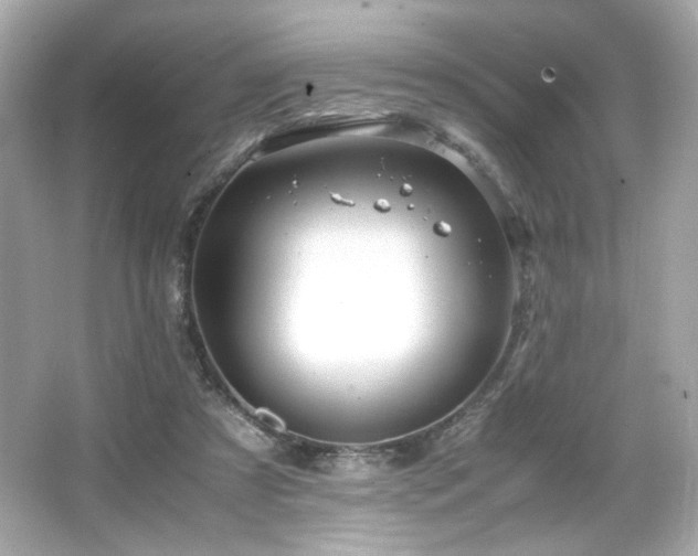 X0000066520305200603171225