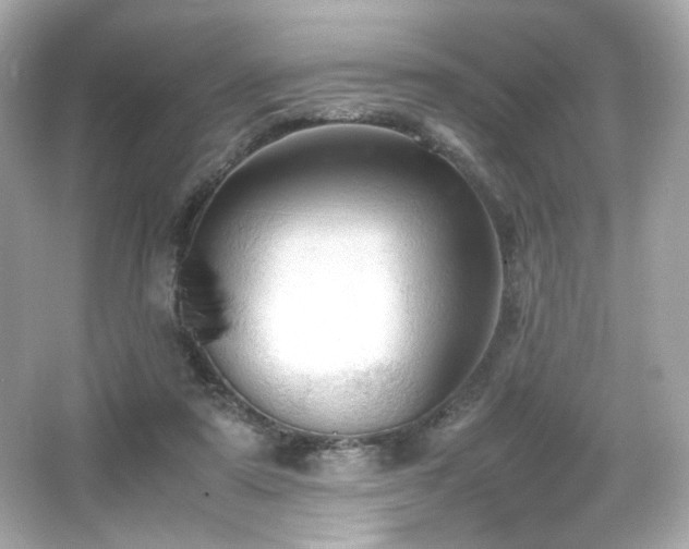 X0000066520307200603171225