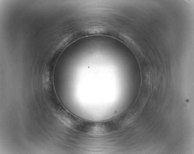 X0000066520308200603171225