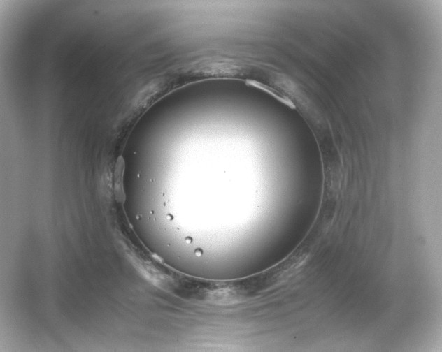 X0000066520309200603171225