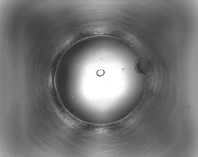 X0000066520310200603171225