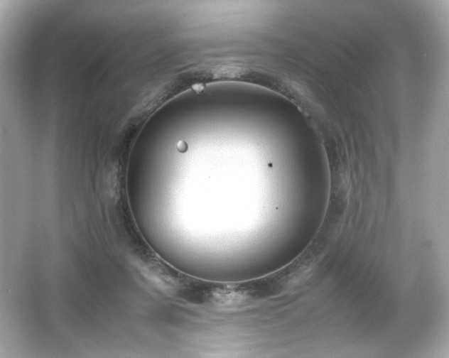 X0000066520311200603171225