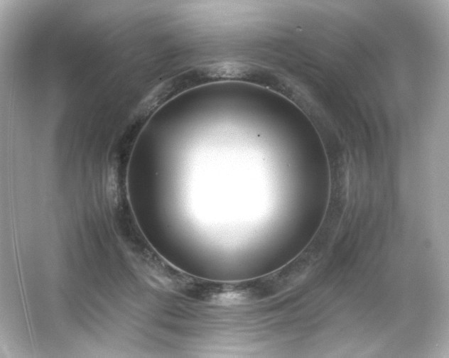 X0000066520312200603171225