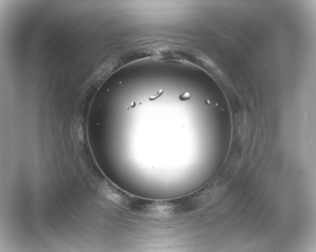 X0000066520313200603171225