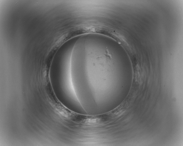 X0000066520314200603171225