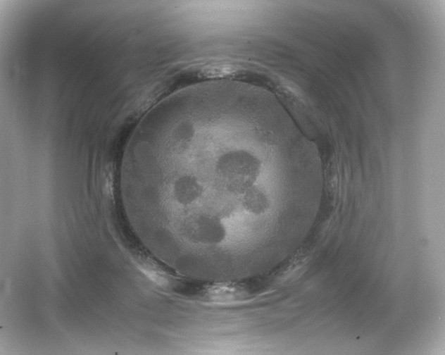 X0000066520315200603171225