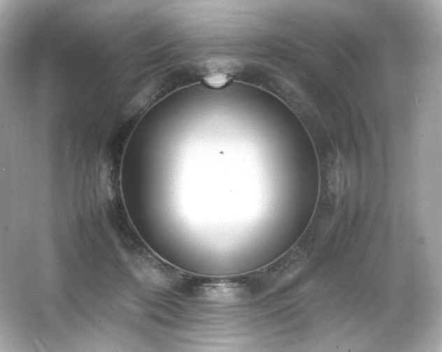 X0000066520316200603171225