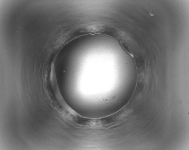 X0000066520317200603171225