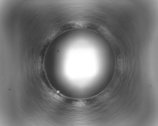 X0000066520318200603171225