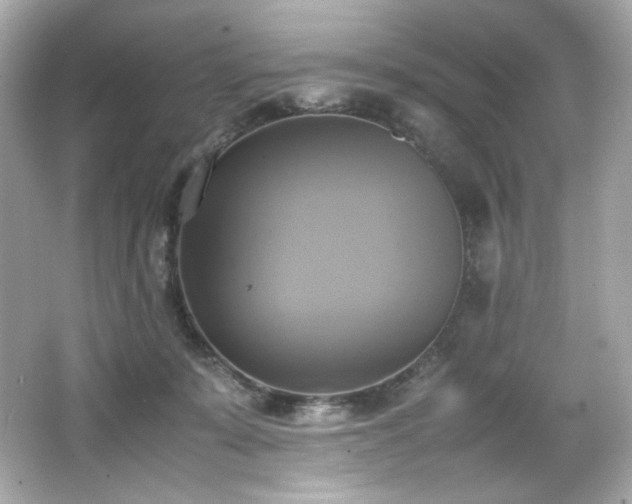 X0000066520319200603171225