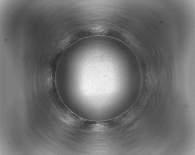 X0000066520320200603171225