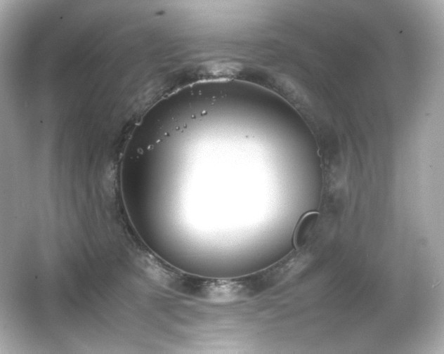 X0000066520321200603171225