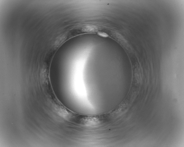 X0000066520322200603171225