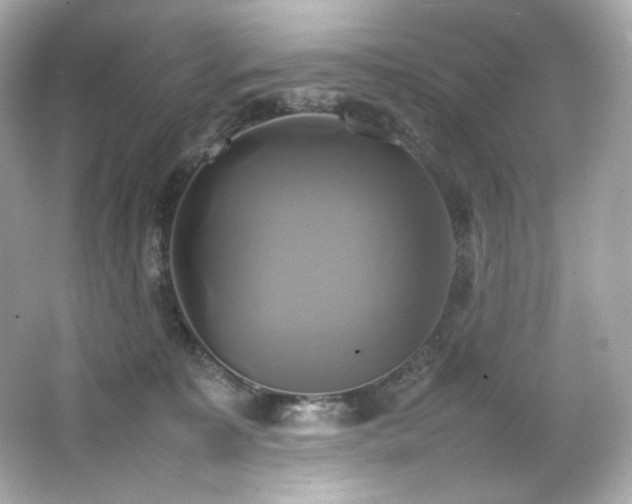 X0000066520323200603171225