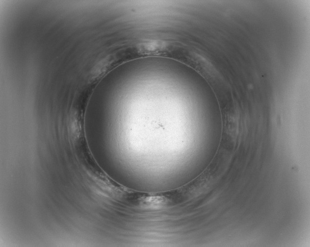 X0000066520324200603171225